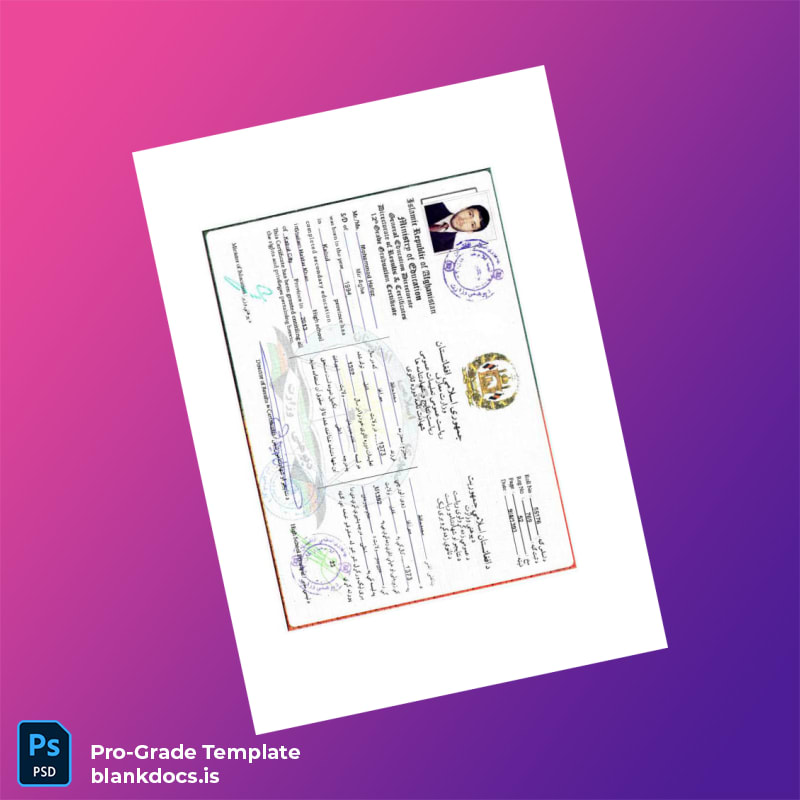 Blank Afghanistan Ayanda Sama Productions Employment Verification Letter Template in Word and PDF formats page 3 Document Preview - BlankDocs