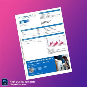 Argentina Endesa Energ A S A Editable Utility Bill Template in Word and PDF formats