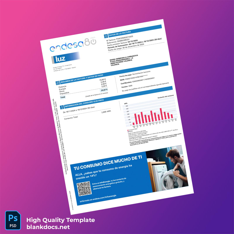Argentina Endesa Energ A S A Unipersonal Editable Utility Bill Template in Word and PDF formats