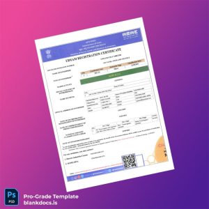 Blank Business Registration Certificate Template (Word/PDF) Document Preview - BlankDocs