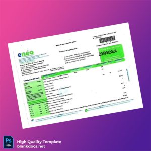 Cameroon Portes S A Editable Utility Bill Template in Word and PDF formats