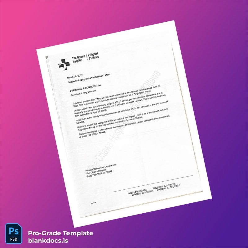 Blank Canada OINP Employment Verification Letter Template (Word/PDF) Document Preview - BlankDocs