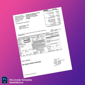 Blank Canada Saskatchewan Vehicle Registration Certificate Template (Word/PDF) Document Preview