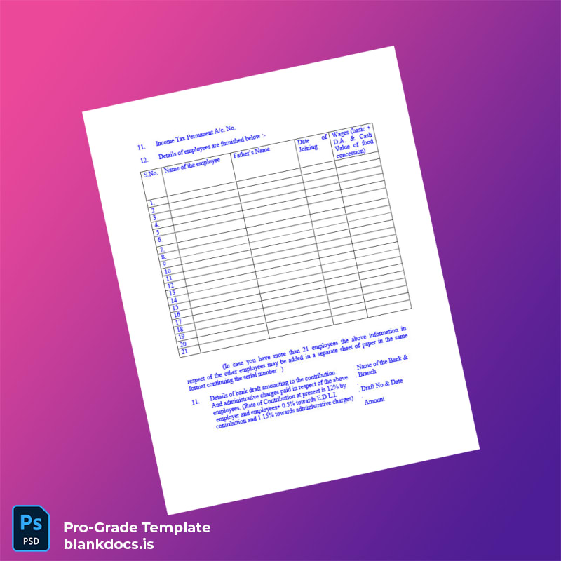 Blank Country Registration Certificate Template in Word and PDF formats page 2 Document Preview - BlankDocs