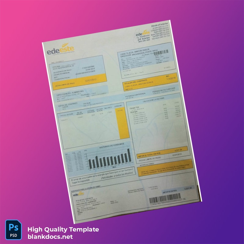 Dominican Republic EDE Este Editable Electricity Bill Template in Word and PDF formats