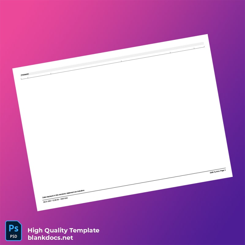 Egypt QNB Bank Statement Template in Word and PDF formats page 3