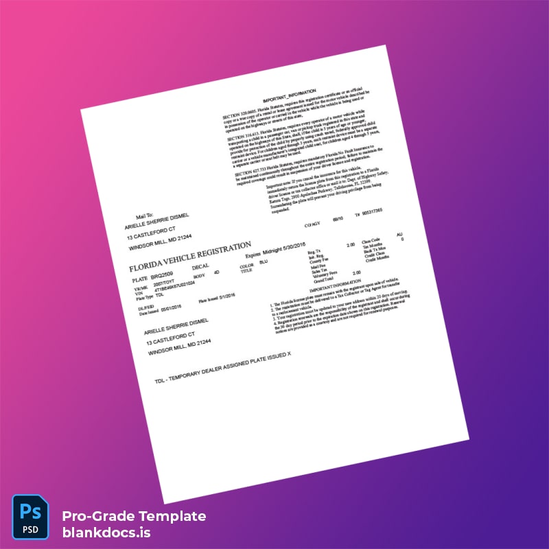 Blank Florida Department of Highway Safety Vehicle Registration Certificate Template (Word/PDF) Document Preview - BlankDocs
