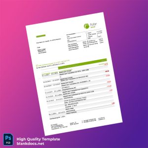 Germany Fidor Bank Statement Template in Word and PDF formats