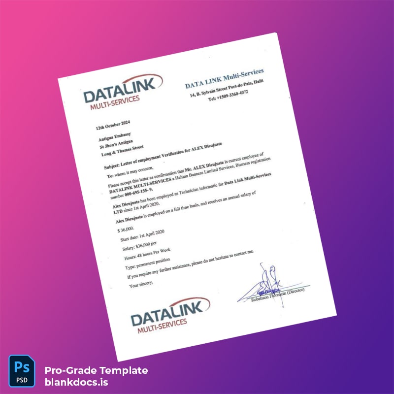 Blank Haiti Datalink Multi-Services Employment Verification Letter Template (Word/PDF) Document Preview - BlankDocs