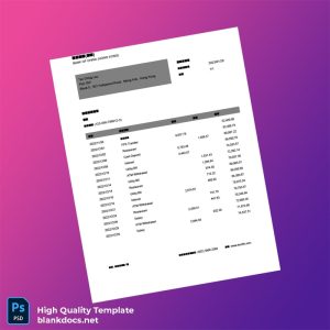 Hong Kong Bank Of China Hong Kong Editable Bank Statement Template in Word and PDF formats