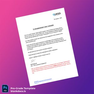 Blank India Ca India Technologies Pvt Ltd Employment Verification Letter Template (Word/PDF) Document Preview - BlankDocs