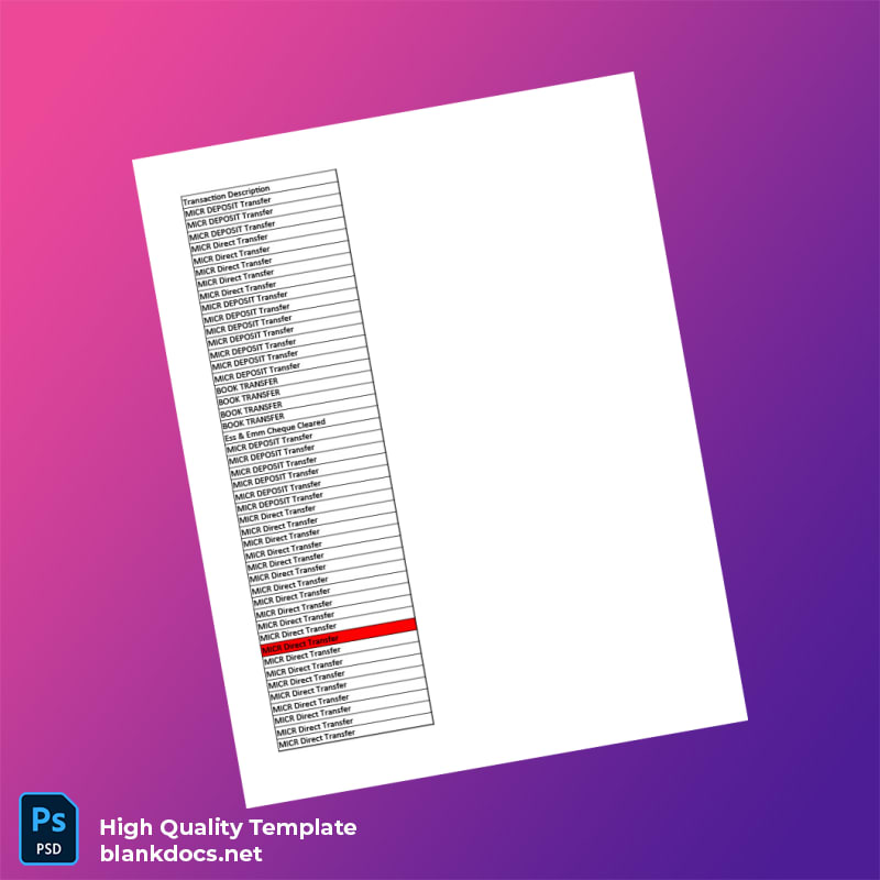 India Citi Bank Statement Template in Word and PDF formats page 4
