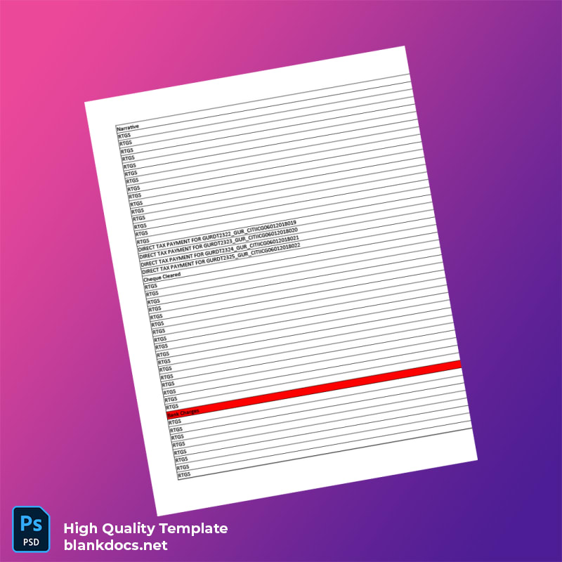 India Citi Bank Statement Template in Word and PDF formats page 5