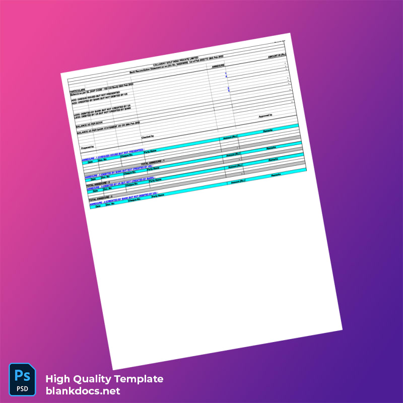 India Citi Bank Statement Template in Word and PDF formats