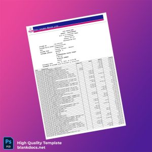 India City Union Bank Editable Bank Statement Template in Word and PDF formats