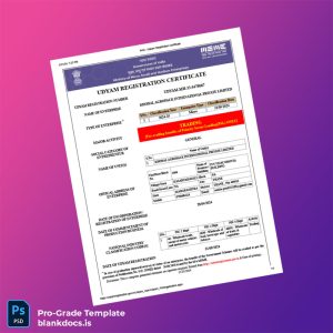 Blank India Ministry of Micro Small and Medium Enterprises MSME Registration Certificate Template (Word/PDF) Document Preview