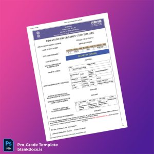 Blank India Ministry of Micro Small and Medium Enterprises Udyam Registration Certificate Template (Word/PDF) Document Preview