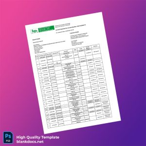 India Oriental Bank of Commerce Bank Statement Template in Word and PDF formats