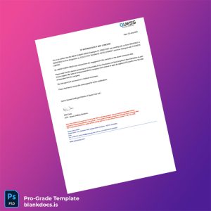 Blank India PhonePe Limited Employment Verification Letter Template (Word/PDF) Document Preview - BlankDocs