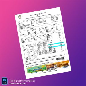 India South Bihar Power Distribution Company Ltd Editable Utility Bill Template in Word and PDF formats