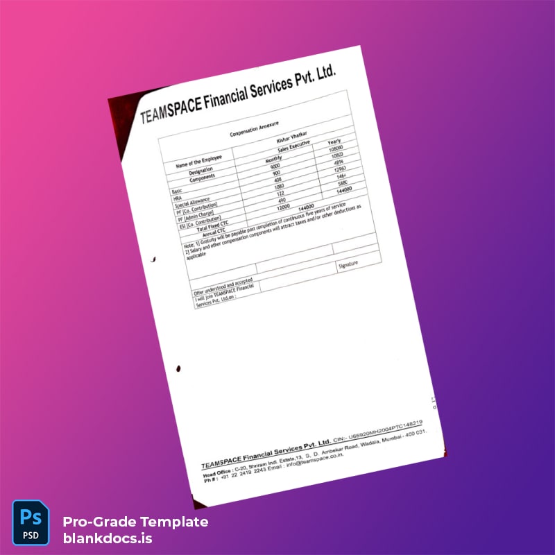 Blank India TeamSpace Relieving and Offer Letter Template in Word and PDF formats page 4 Document Preview - BlankDocs