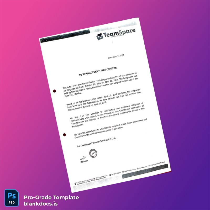 Blank India TeamSpace Relieving and Offer Letter Template (Word/PDF) Document Preview - BlankDocs