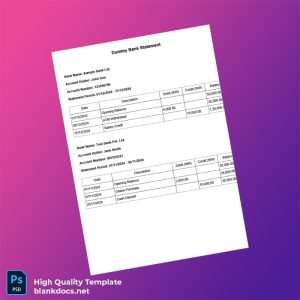 India Test Bank Pvt Ltd Statement Template in Word and PDF formats