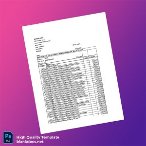 India Visa Inc Bank Statement Template in Word and PDF formats