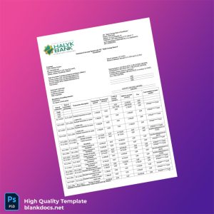 Kazakhstan Halyk Bank Credit Card Statement Template in Word and PDF formats