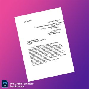 Blank Mexico Municipal Registry Late Registration Petition for Birth Certificate Template (Word/PDF) Document Preview - BlankDocs