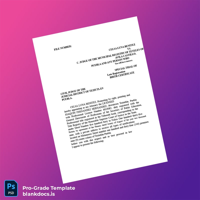 Blank Mexico Municipal Registry Late Registration Petition for Birth Certificate Template (Word/PDF) Document Preview - BlankDocs