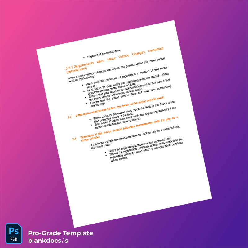 Blank Namibia Ministry of Transport Motor Vehicle Registration Guide Template in Word and PDF formats page 3 Document Preview - BlankDocs