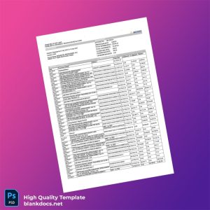 Nigeria Access Bank Bank Statement Template in Word and PDF formats