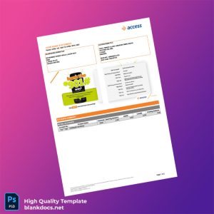 Nigeria Access Bank Statement Template in Word and PDF formats