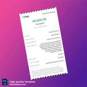 Nigeria OPay Editable Utility Bill Template in Word and PDF formats
