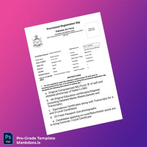 Blank Pakistan Provisional Registration Certificate Template (Word/PDF) Document Preview - BlankDocs