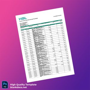 Pakistan UBL Account Statement Template in Word and PDF formats