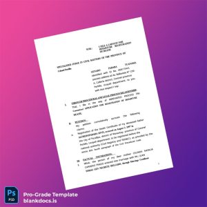 Blank Peru RENIEC Death Certificate Registration Application Template (Word/PDF) Document Preview - BlankDocs