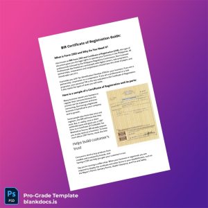Blank Philippines Bureau of Internal Revenue Certificate of Registration Template (Word/PDF) Document Preview - BlankDocs
