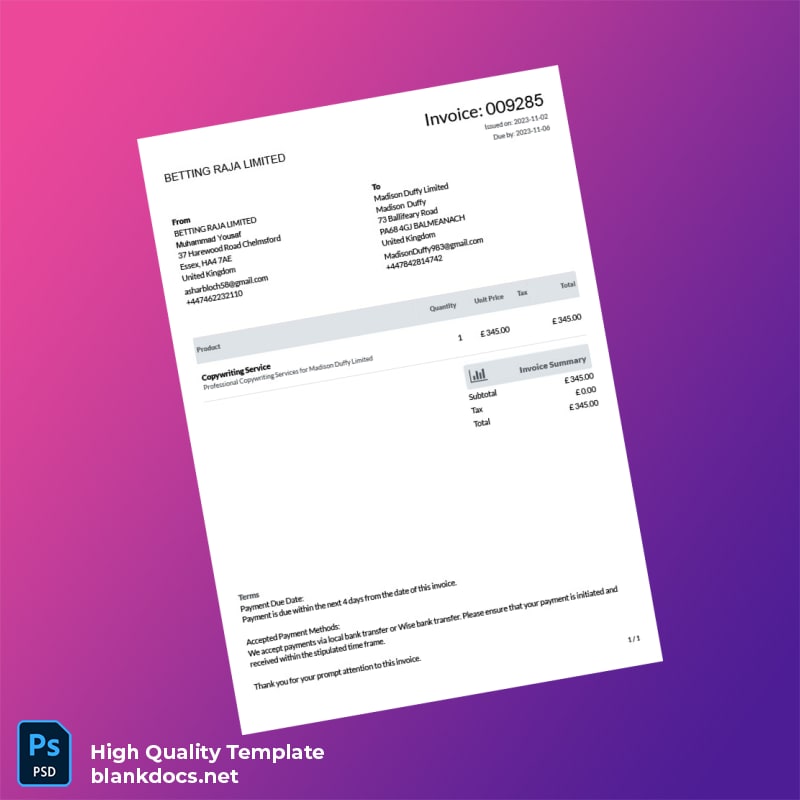 South Africa Bank Statement and Invoices Template in Word and PDF formats page 7