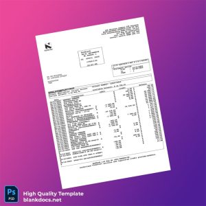 South Africa Nedbank Bank Statement Template in Word and PDF formats