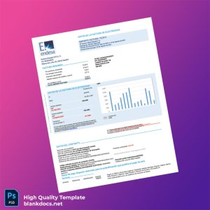 Spain Endesa Distribuci N El Ctrica Editable Electricity Bill Template in Word and PDF formats