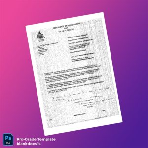 Blank UK HM Revenue Customs VAT Registration Certificate Template (Word/PDF) Document Preview