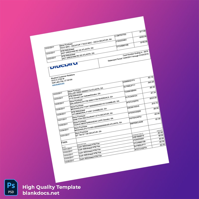 USA Bluebird Bank Statement Template in Word and PDF formats page 2