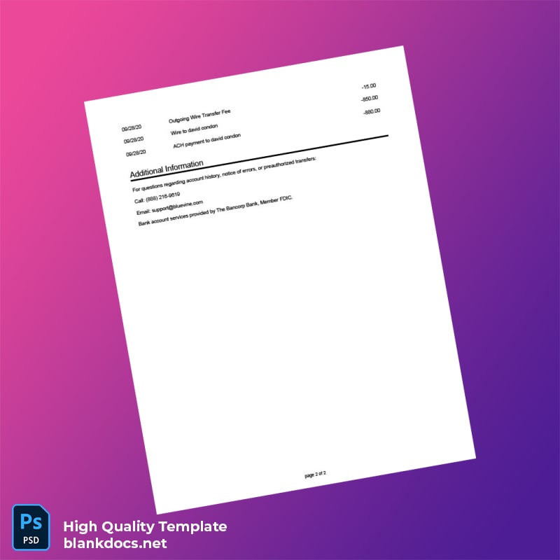 USA Bluevine Bank Statement Template in Word and PDF formats page 2