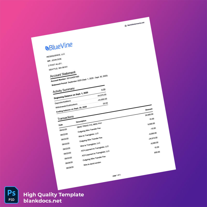 USA Bluevine Bank Statement Template in Word and PDF formats
