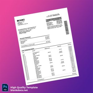 USA Choice Bank Statement Template in Word and PDF formats
