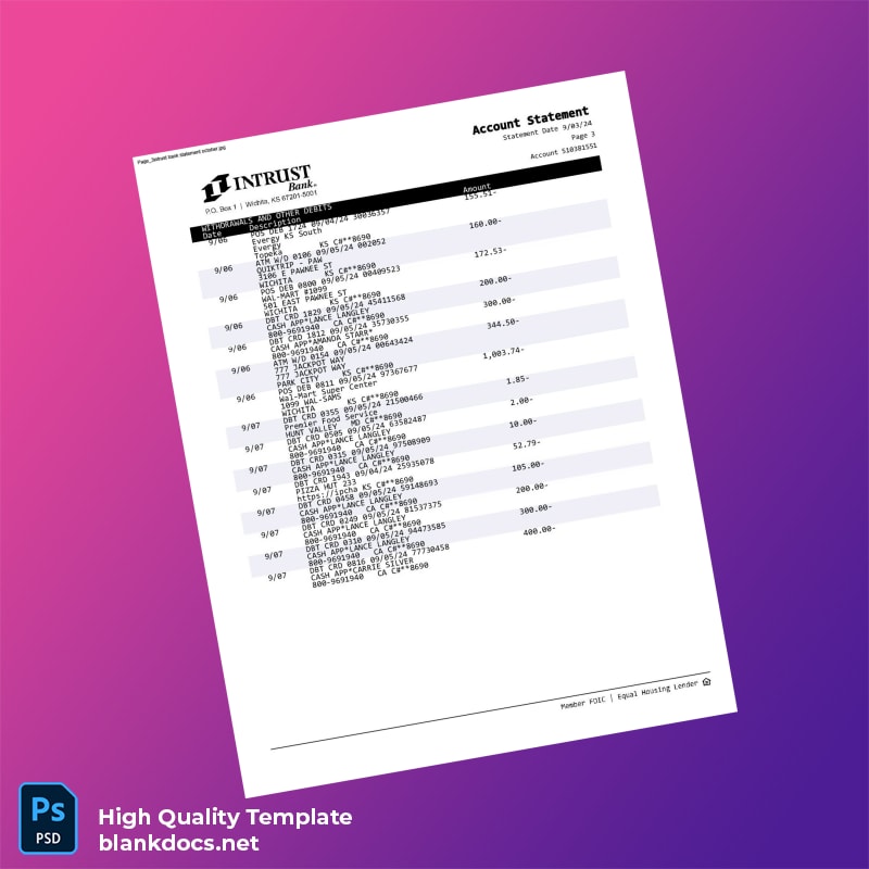 USA INTRUST Bank Statement Template in Word and PDF formats page 3