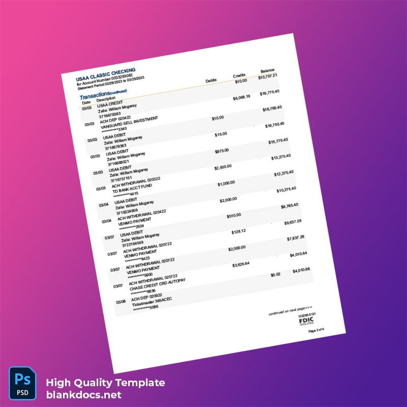 USA USAA Federal Savings Bank Account Statement Template in Word and PDF formats page 2