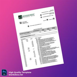 USA Woodforest Bank Statement Template in Word and PDF formats